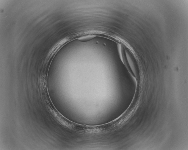 X0000079580793200612221429