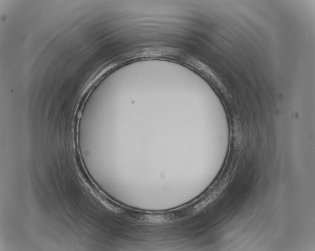 X0000079580794200612221429