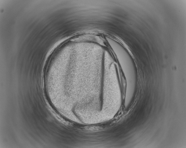 X0000079580795200612221429