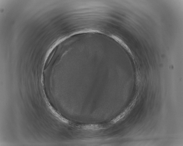 X0000079580797200612221429