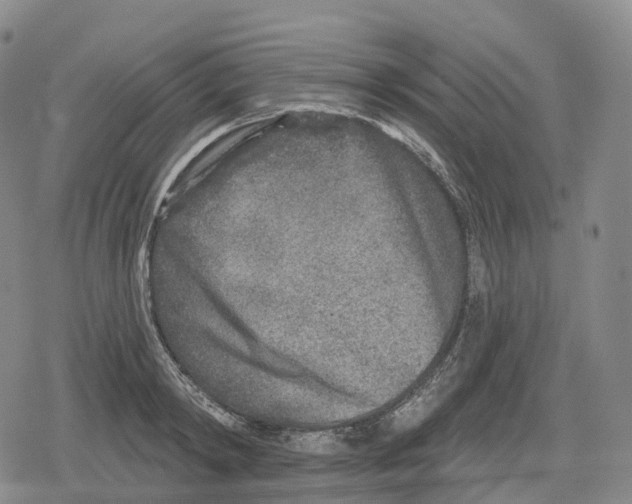 X0000079580798200612221429