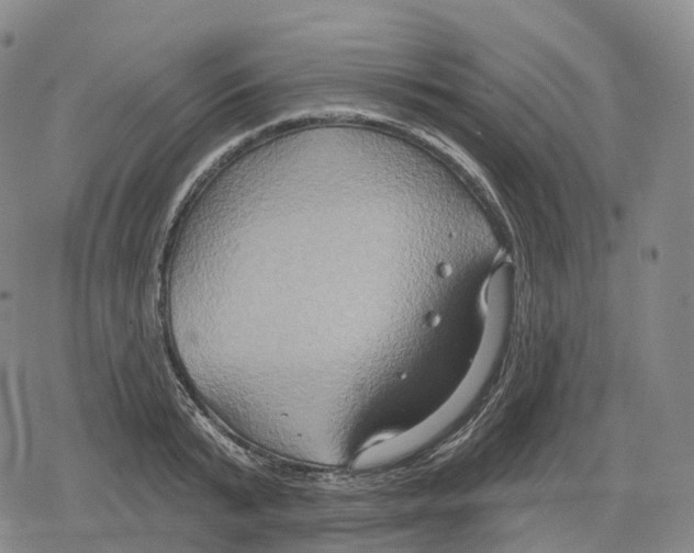 X0000079580799200612221429