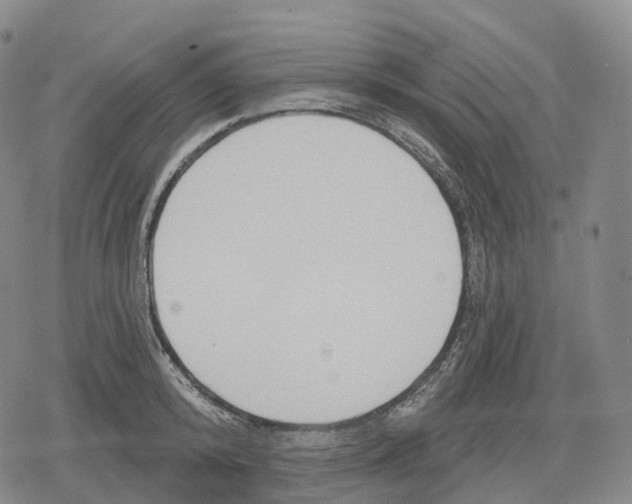 X0000079580800200612221429