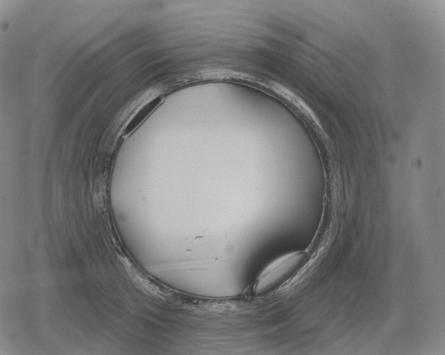 X0000079580801200612221429