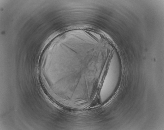 X0000079580802200612221429