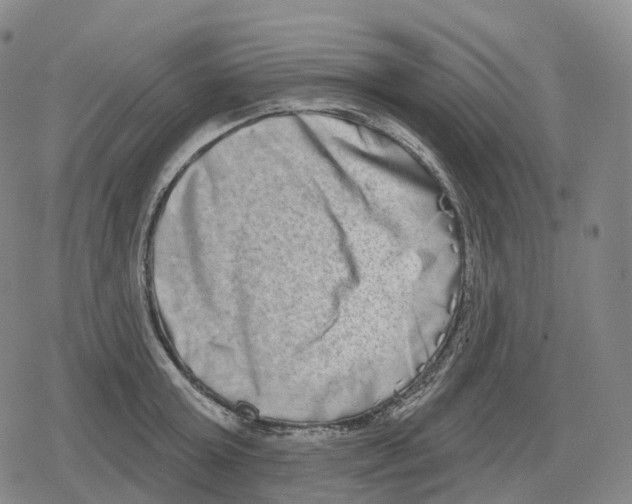 X0000079580803200612221429