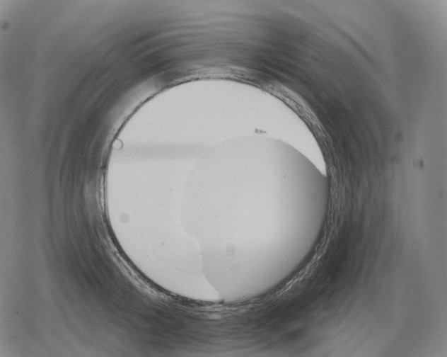 X0000079580804200612221429