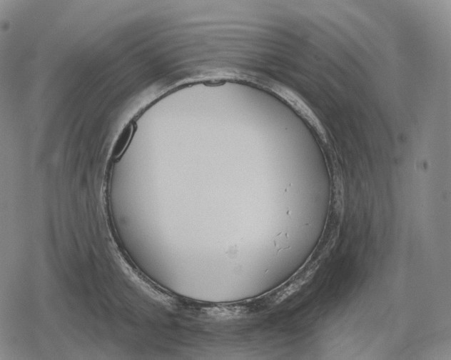 X0000079580805200612221429