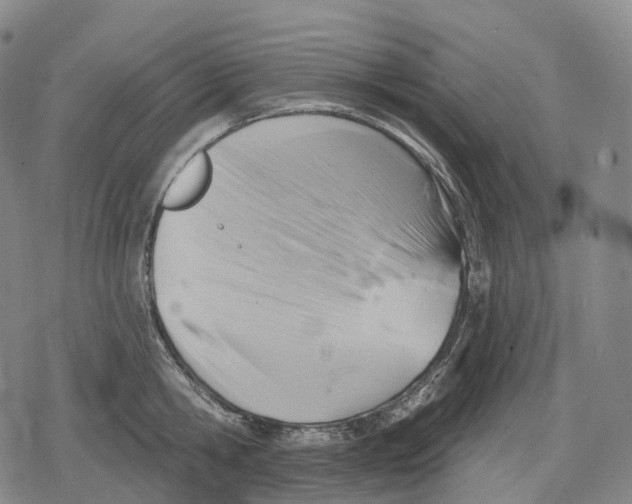 X0000079580806200612221429