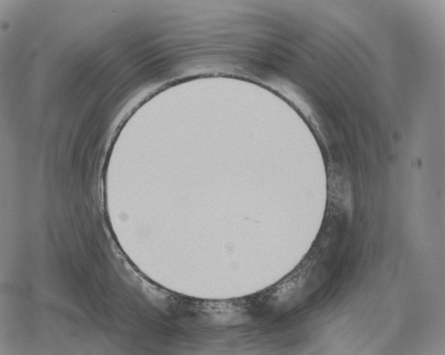 X0000079580807200612221429