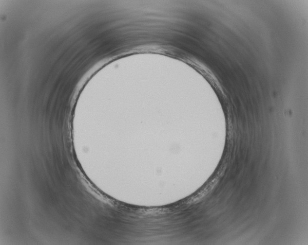 X0000079580808200612221429