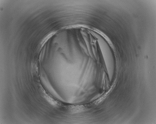 X0000079580809200612221429