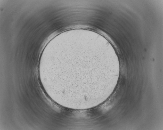 X0000079580810200612221429