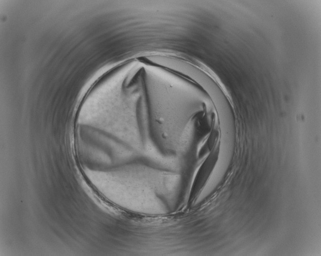 X0000079580811200612221429