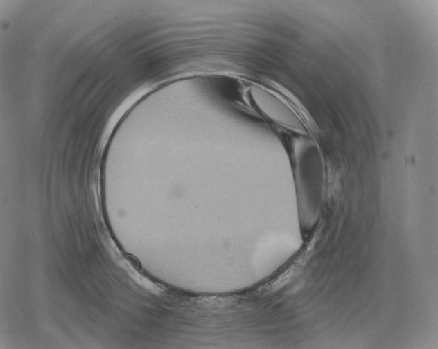 X0000079580812200612221429