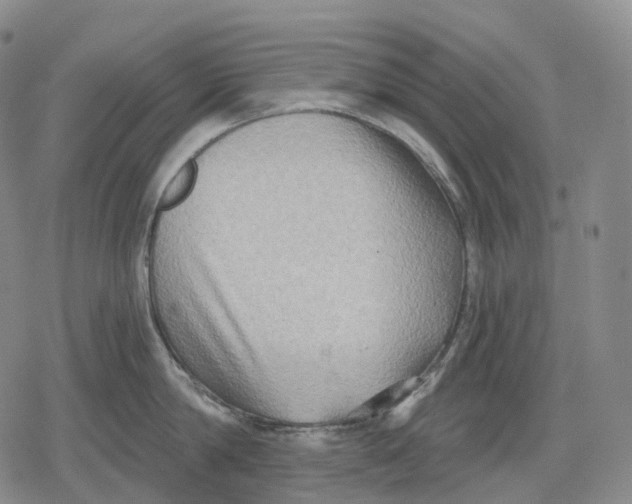 X0000079580814200612221429