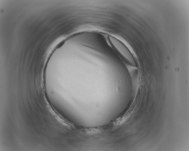 X0000079580815200612221429