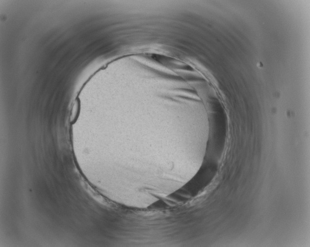 X0000079580816200612221429