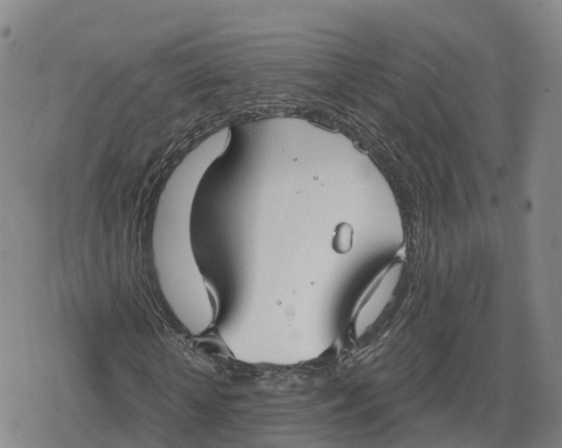 X0000079580818200612221428