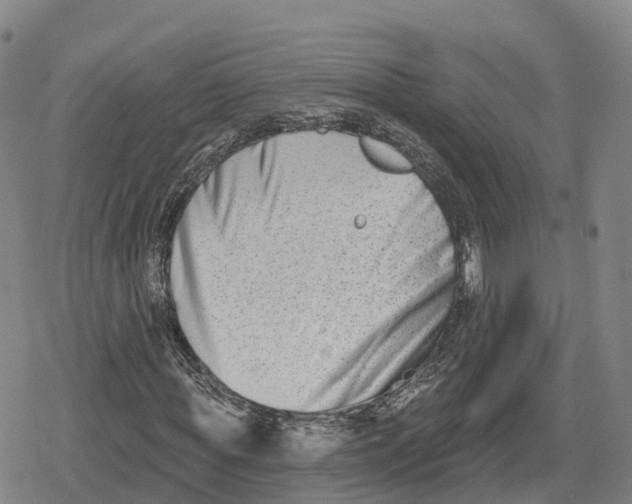 X0000079580819200612221428