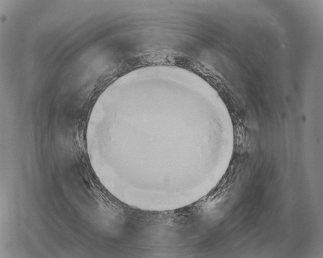 X0000079580820200612221428