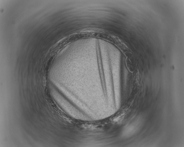 X0000079580821200612221428