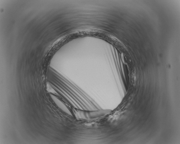 X0000079580822200612221428