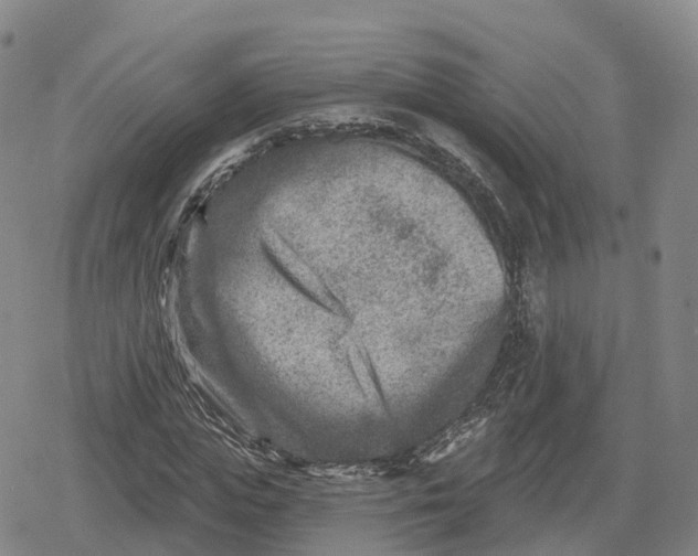 X0000079580823200612221428