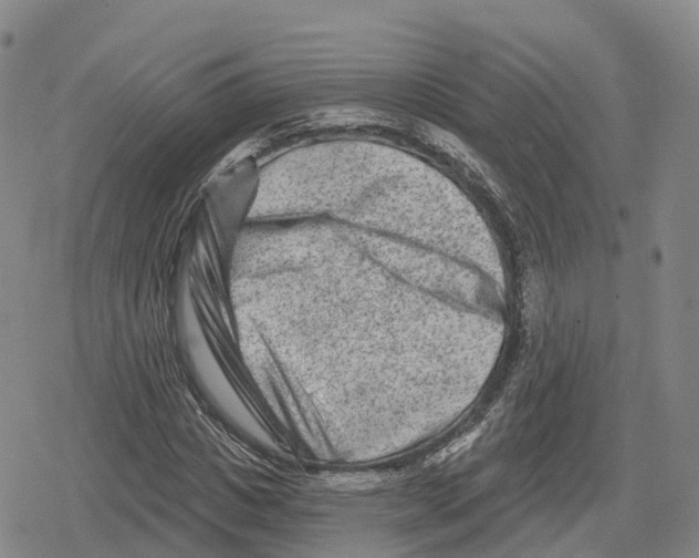 X0000079580825200612221428