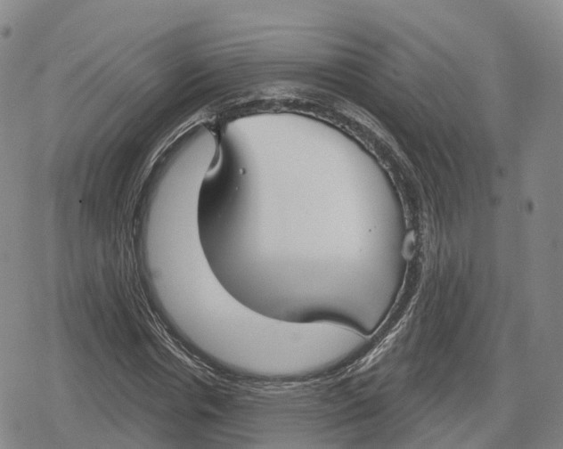 X0000079580826200612221428