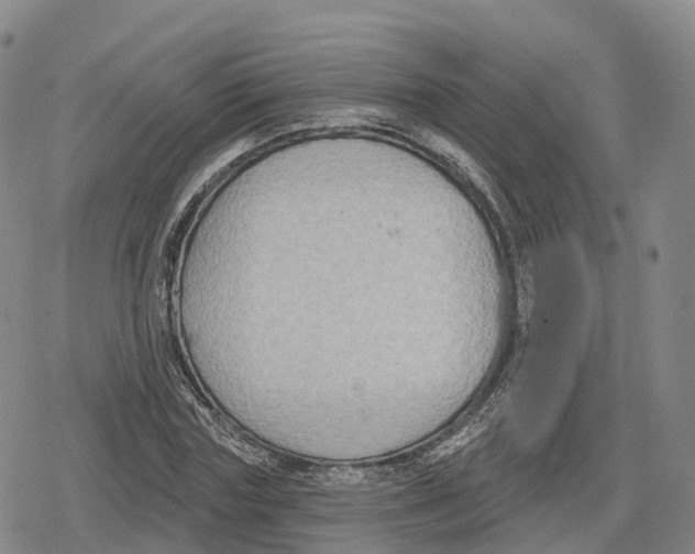 X0000079580827200612221428