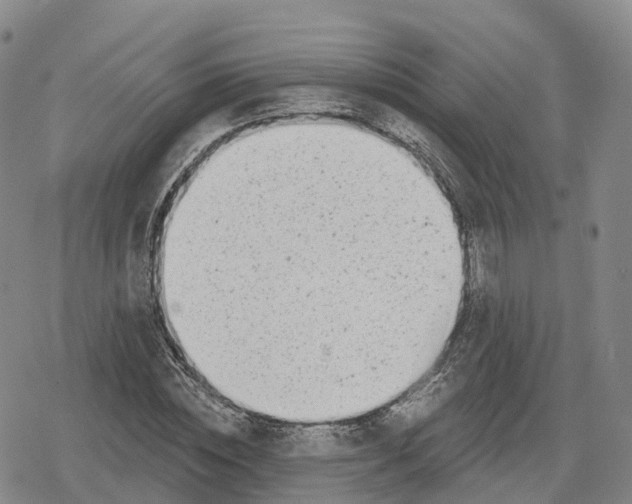 X0000079580828200612221428