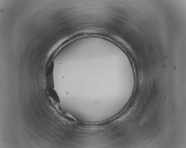 X0000079580829200612221428