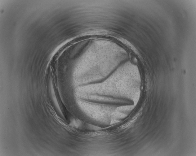 X0000079580830200612221428