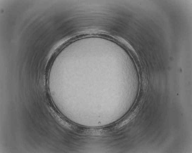 X0000079580831200612221428