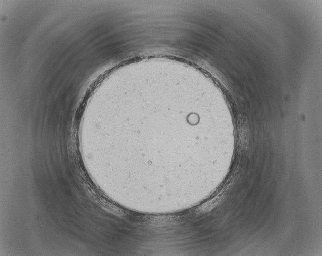 X0000079580832200612221428