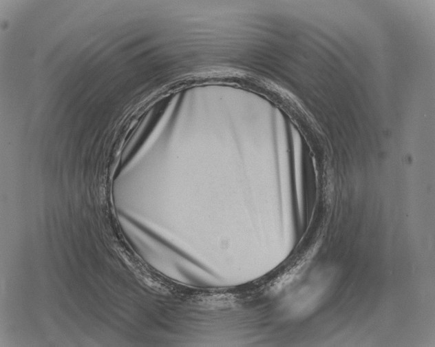 X0000079580833200612221428