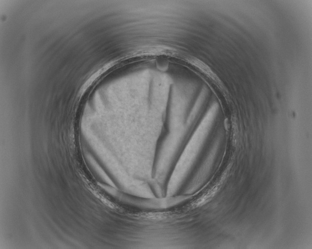 X0000079580834200612221428