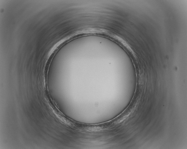 X0000079580837200612221428