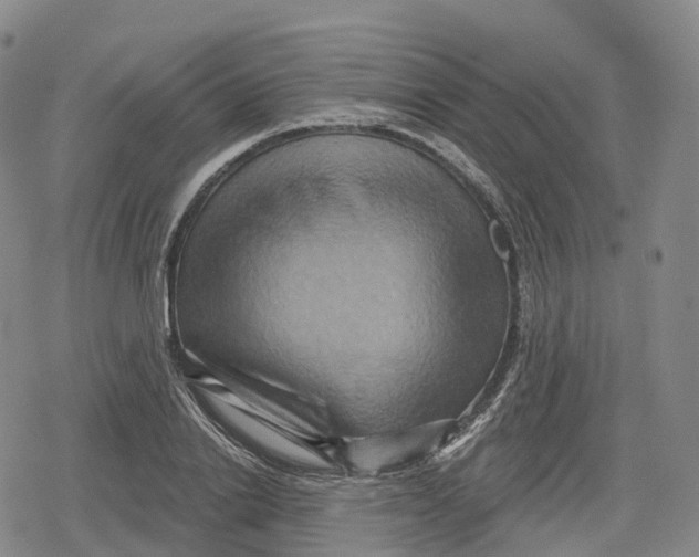 X0000079580838200612221428