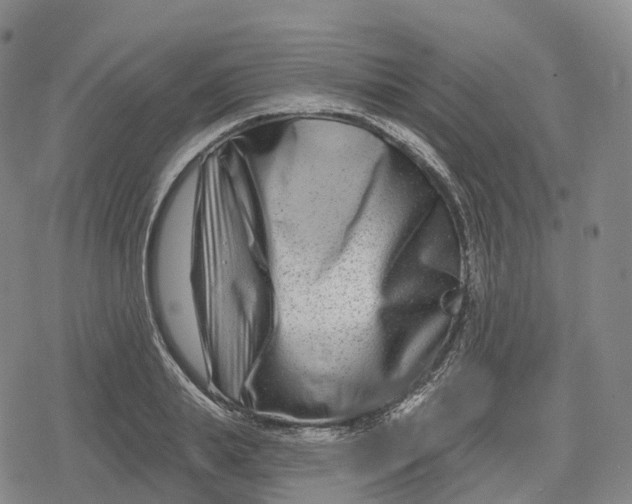 X0000079580839200612221428