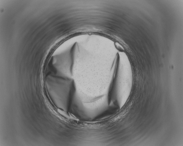 X0000079580840200612221428