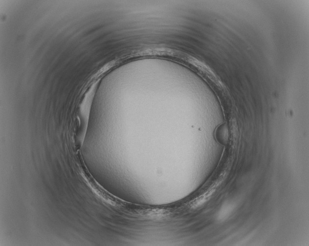 X0000079580841200612221428