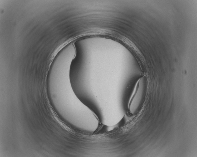 X0000079580842200612221428