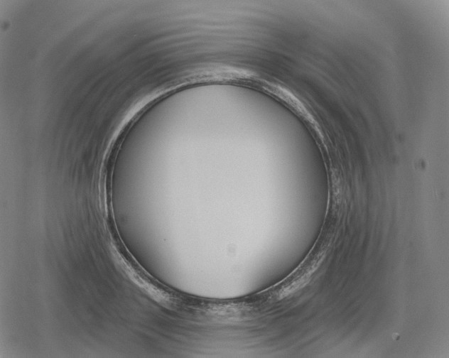 X0000079580843200612221428