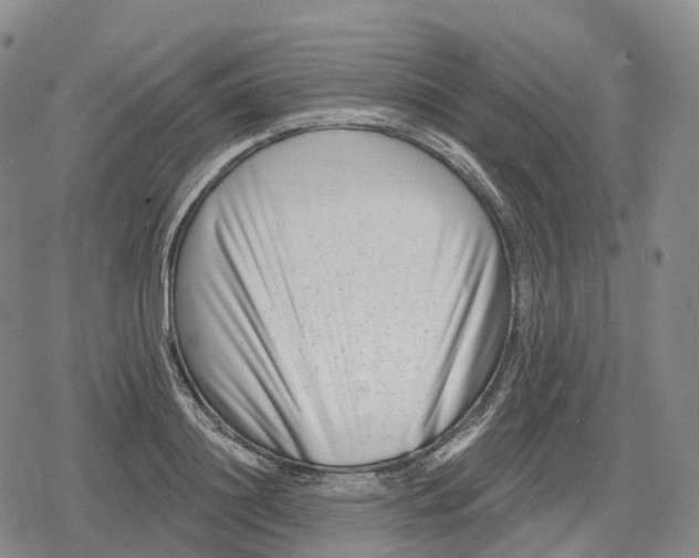 X0000079580844200612221428