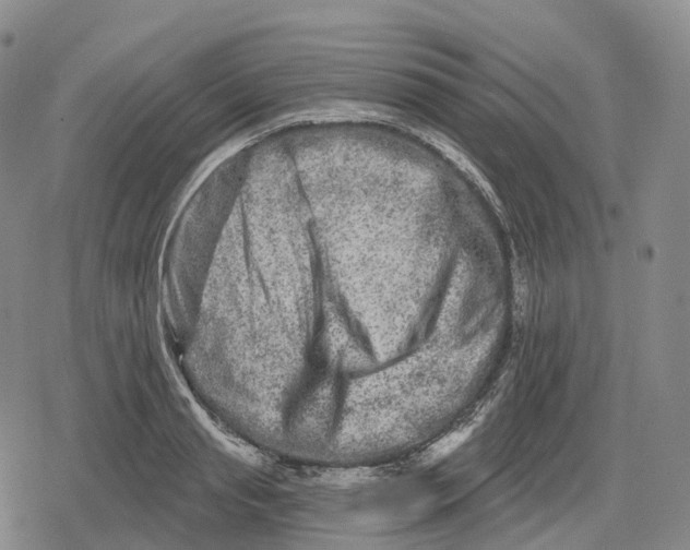 X0000079580845200612221428