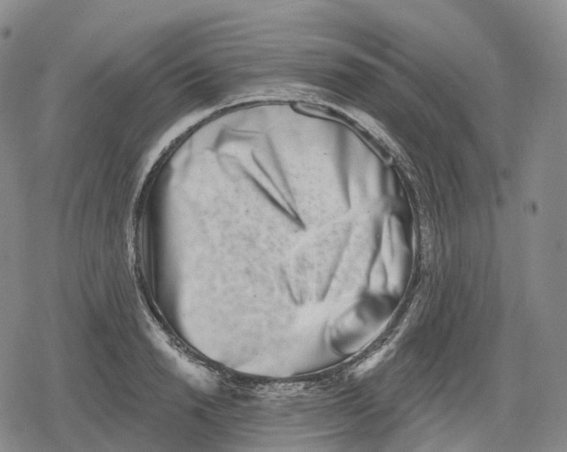 X0000079580846200612221429