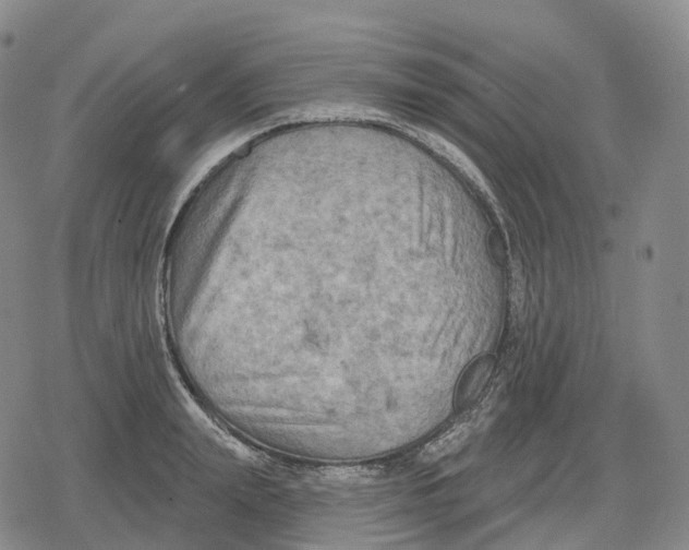 X0000079580847200612221429