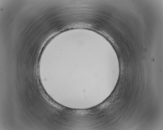 X0000079580848200612221429